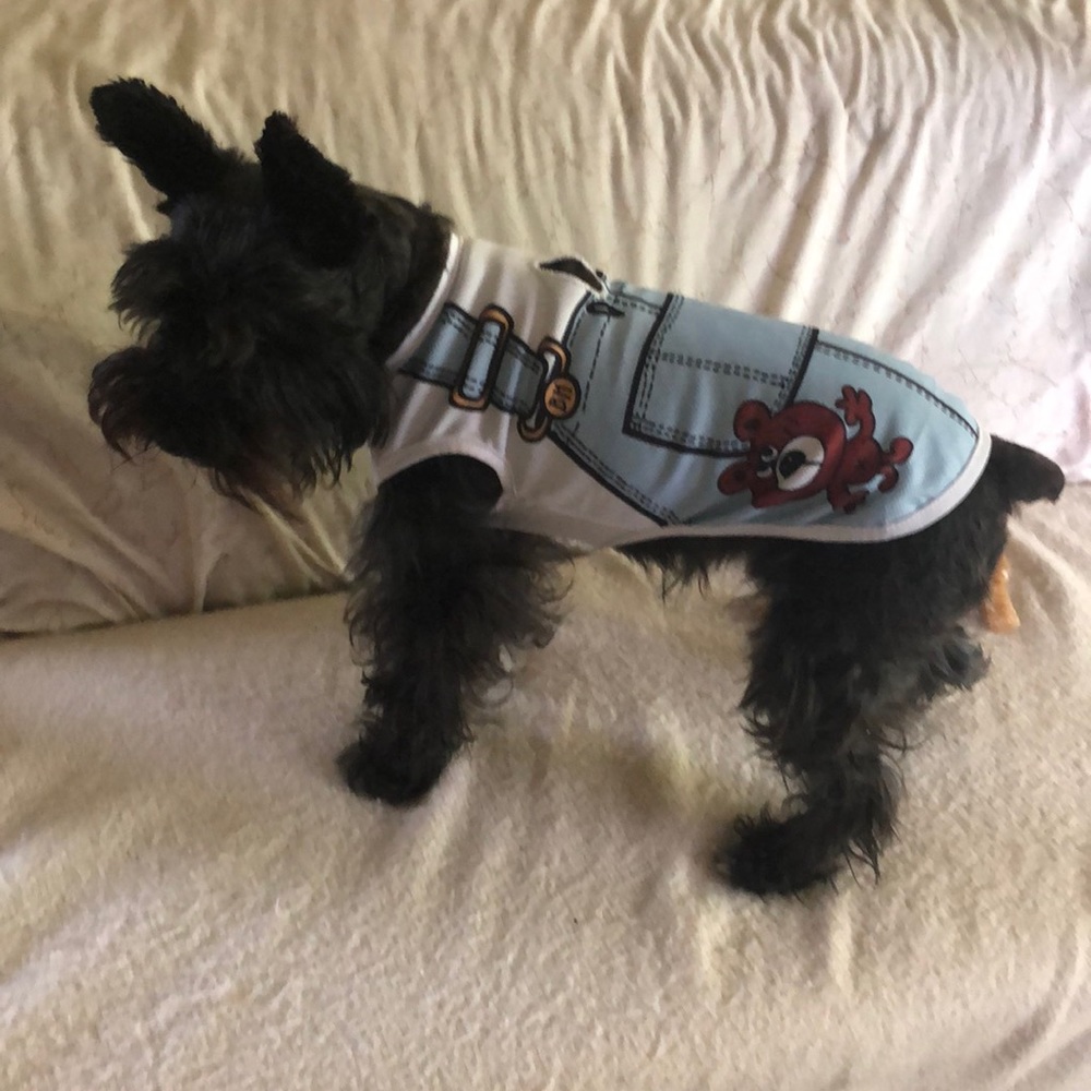 Baby Blue Overalls lightweight polyester Dog shirt